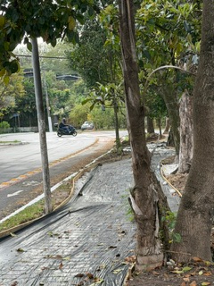 Ataque ao canteiro central